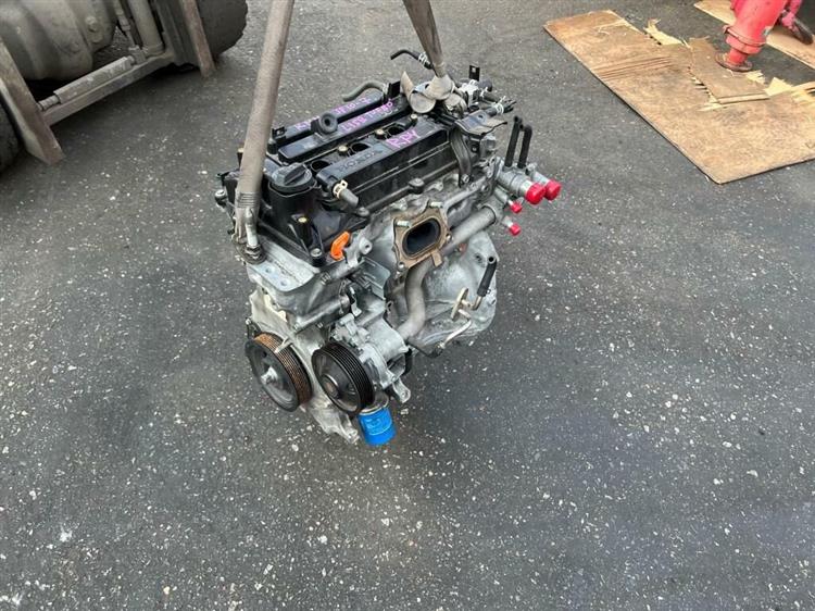 Двигатель Хонда Степвагон в Электростале 241069
